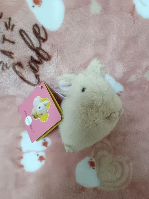tFVقق키|[`gpi