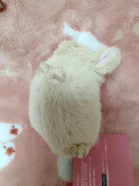tFVقق키|[`gpi