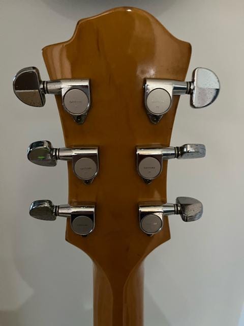 Fernandes MG-115 C [[ tFifX X JAPAN hide qf bLo[h AN i