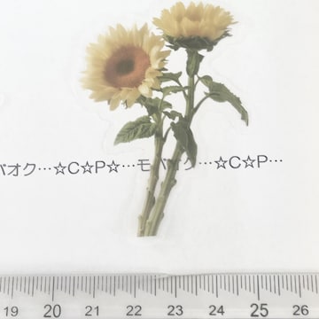 15*YȂԁ@װޭف@30