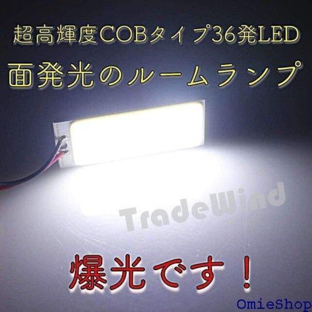 TradeWind [v ԓ ʔ 36 COB 3 \Pbgt 12V  10Zbg 230  /oCN