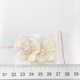 28*Ҳ́׷set@9