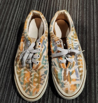 VANS@re[W@Jt􉽊w͗lLoXXj[J[