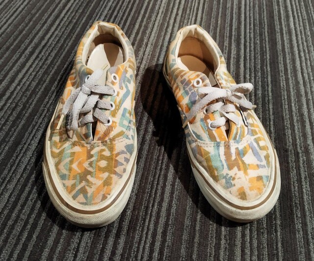VANS@re[W@Jt􉽊w͗lLoXXj[J[  t@bV 