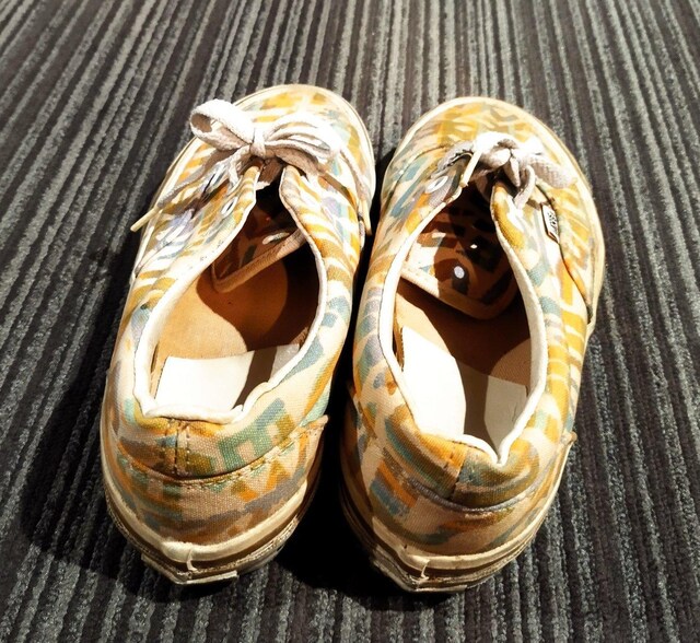 VANS@re[W@Jt􉽊w͗lLoXXj[J[  t@bV 