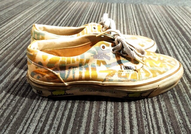 VANS@re[W@Jt􉽊w͗lLoXXj[J[  t@bV 