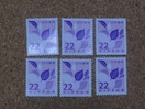 22~؎ 6 ʐ؎