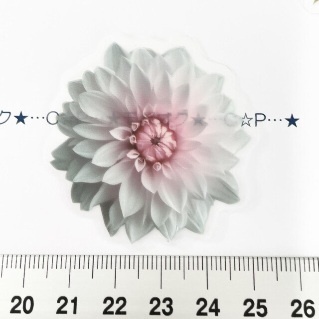 7*R[WV[6 