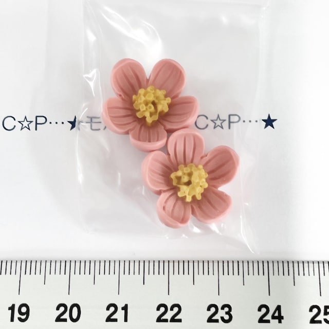18*̂Ԃ̃fRp[c@21   /RX/lC 