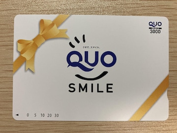 NIJ[h QUOJ[h 3000~