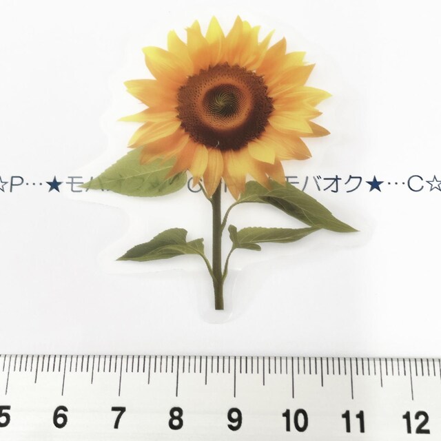 7*R[WV[10   CeA/Ct 