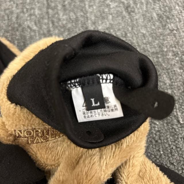 THE NORTH FACE m[XtFCX  O[u NN62311  uh 
