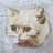 人気 あちゃちゅむ ムチャチャ ねこポーチ 顔ねこpt 猫 とらねこ バッグ 新品