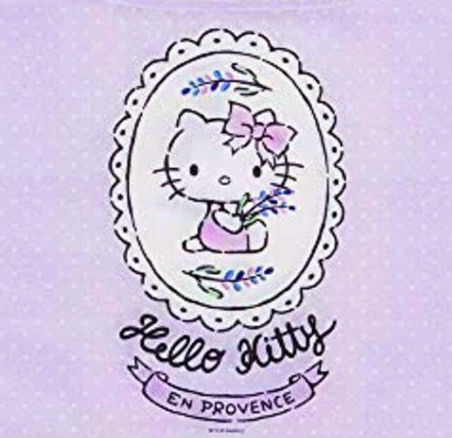 HELLO KITTY@GRobO@n[LeB@VbsOobN@XP[^[@TCY͎ʐ^XɋLځ@g[gobO   