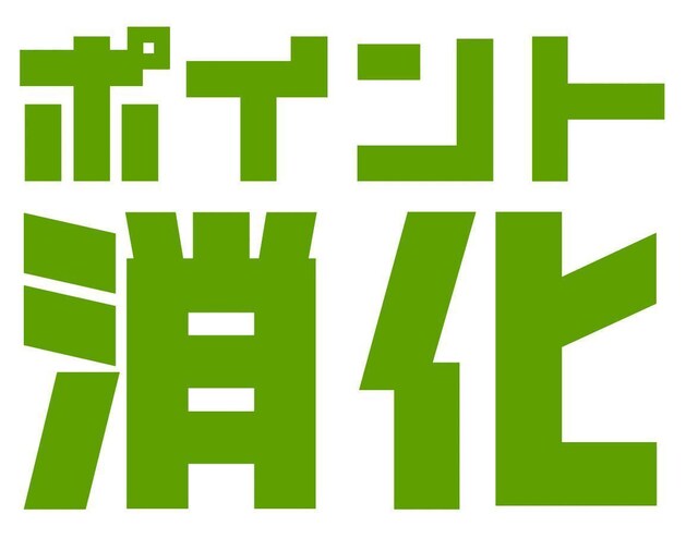 i|CgxOKjzʈȉBႦΐ؎800~{~j^[1 