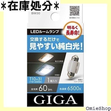J[Cg CARMATE GIGA ԗp LED[ ₷ T10~31 Ή 1 BW30 142