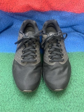 iCLXj[J[@ ubN iCL  NIKE Xj[J[@Y@jOV[Y