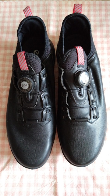 eccoGR[StV[Ysize44  W[/X|[c 