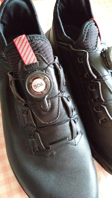 eccoGR[StV[Ysize44  W[/X|[c 