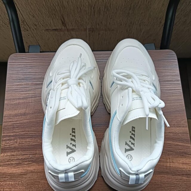 Vi 23.5cm fB[X Xj[J[ zCg V[Y  JWA  t@bV 