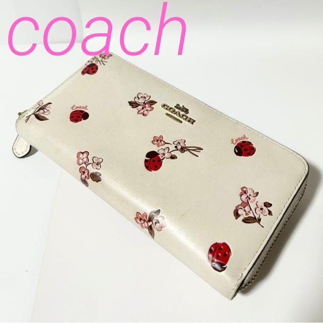 COACH R[` U[ ĂƂ Eht@Xi[ z   uh 