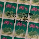 86146LO؎840~(60~؎)