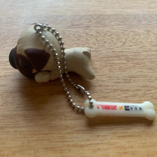 the dogL[z_[   