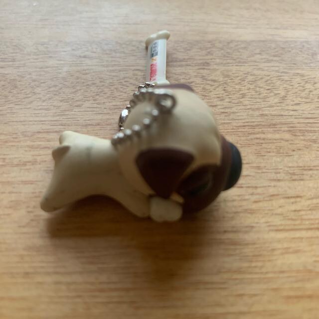 the dogL[z_[   