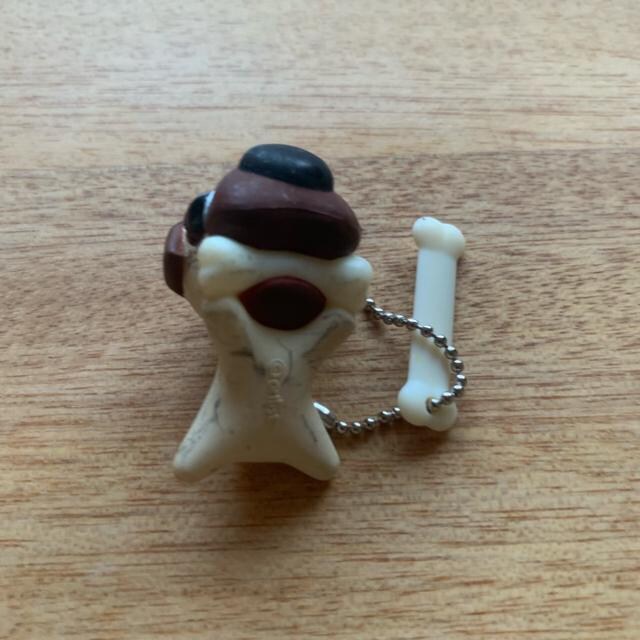 the dogL[z_[   