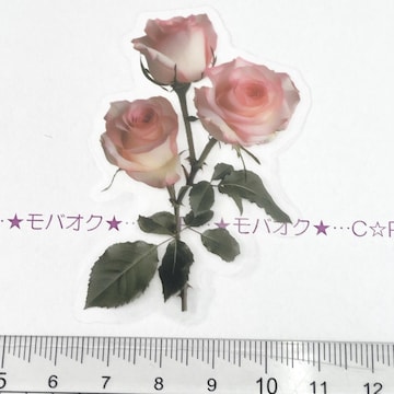 13*YȺװޭف@29