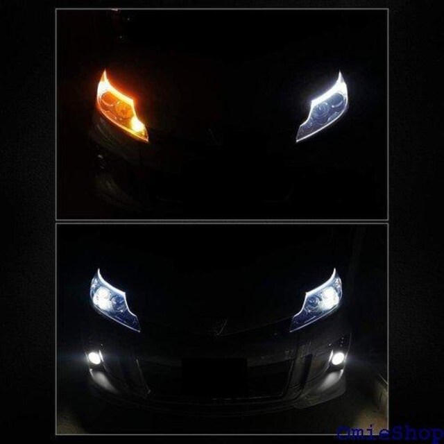 Catland V[PV LEDe[v E 60CM 12V ԗp tȒP ėpi 2{1Zbg 291  /oCN