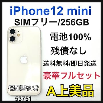 A 100% iPhone 12 mini 256 GB SIMt[ {