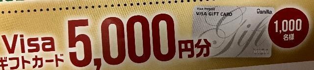 visaMtgJ[h5000~/1000l1 