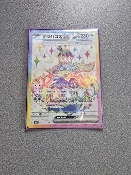 |PJ[h epSXex SR