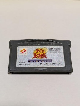 GBA ejX̉ql