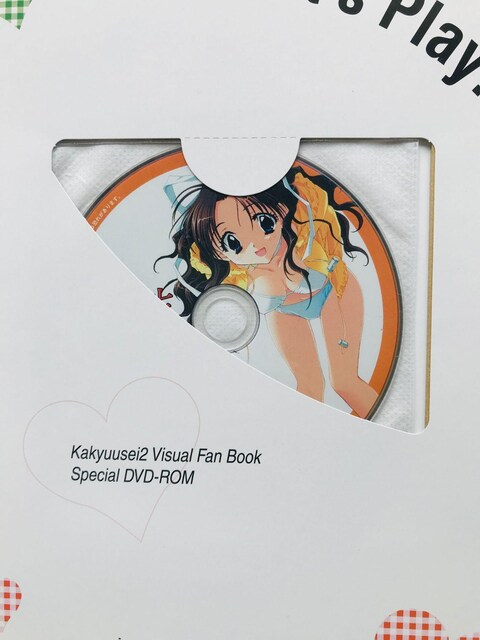 2@rWAt@ubN@DVDJ@с@nKL@ Kakyuusei Visual Fan Book Guide  Q[{/\tg 