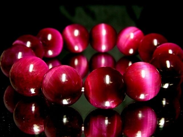sN^CK[ACFՖڐ΁16~VRΐ  ANZT[/v 