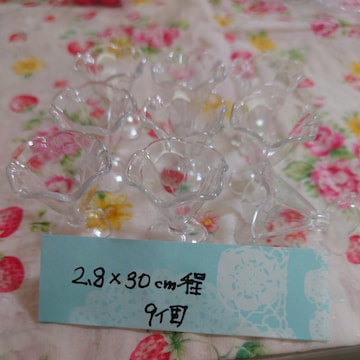 Ԍ^ptFOX9
