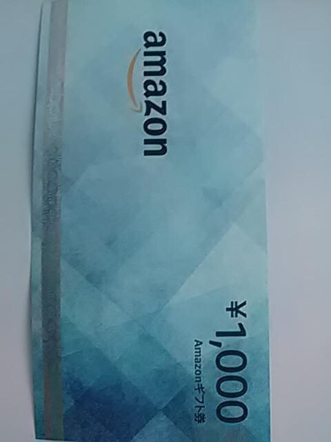 1000AmazonMtgVi 