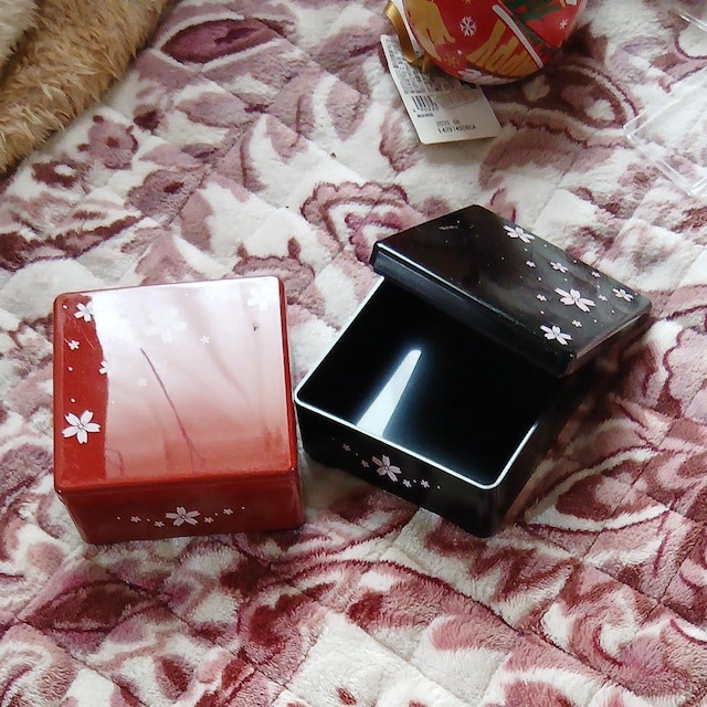 Hޗlߍ킹̂Q  zr[ 