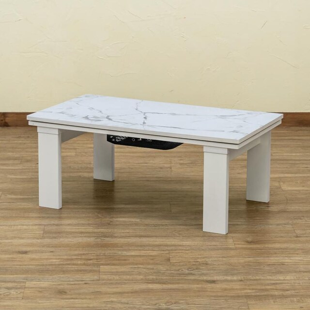 yz_rOR^c 90~50cm ؖڒ  CeA/Ct 