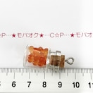 14*KXr`[@WڒȂ@`[̓Xg16