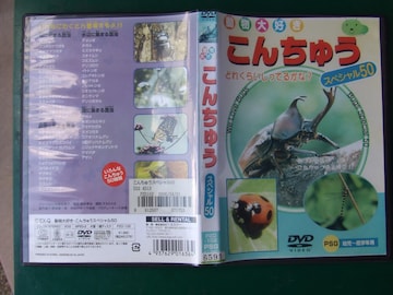 DVD DFu񂿂イAvcEwN