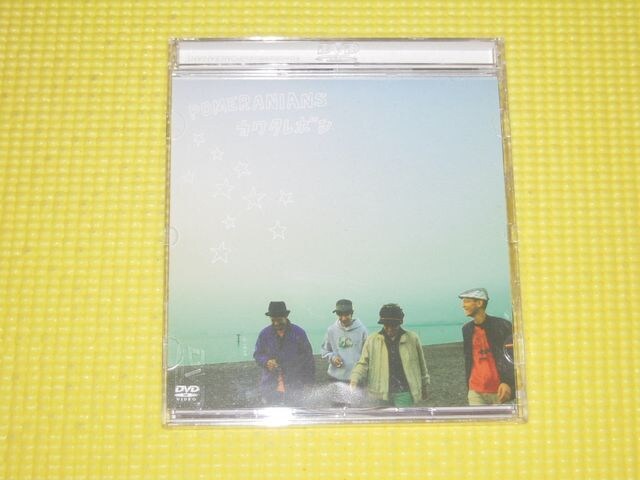 POMERANIANSJ^{V10   ^gObY 