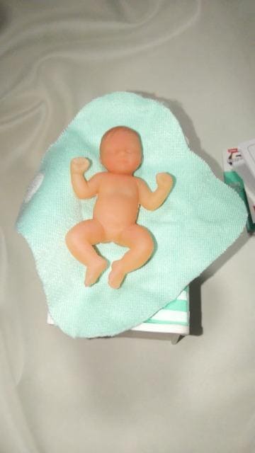 ZURU5TvCYMy mini Baby}C~jxr[V[Y1xr[xbhݐl`h[~j`A   