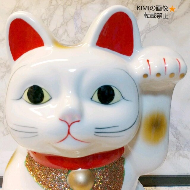 ^@킢L@25cm@퐻@u@N@܂˂L@J^  zr[ 