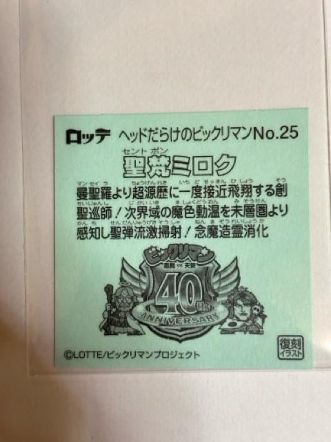wbh炯̃rbN}NO.25 ~N  zr[ 