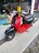 希少2サイクルホンダジョルノスペシャル希少色