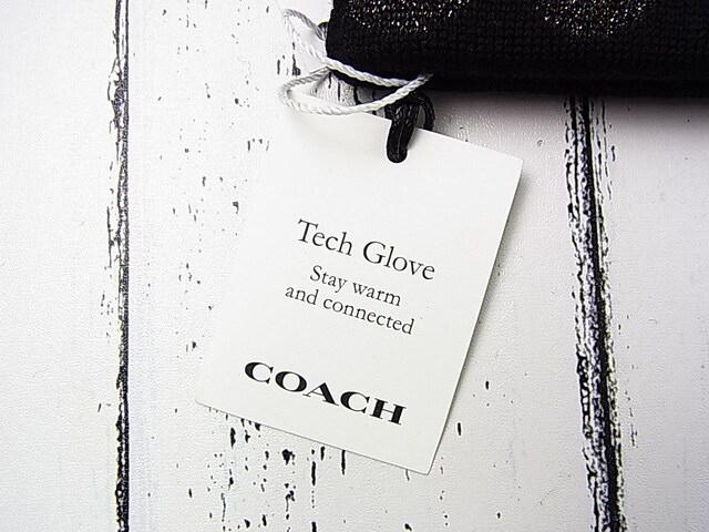 KViR[`@COACH@@܁@CM279@E[ VOl`[ jbg ebN O[u ^b`plΉ