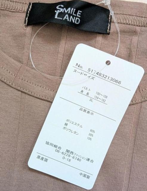 RkW~ȂTeRu`jbNVi傫TCY  t@bV 